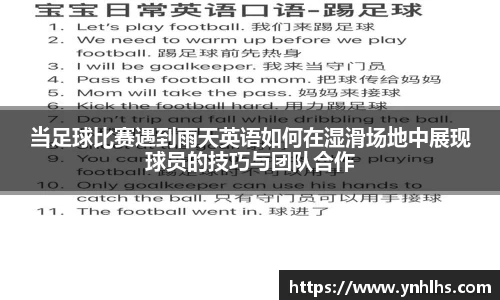B体育官网