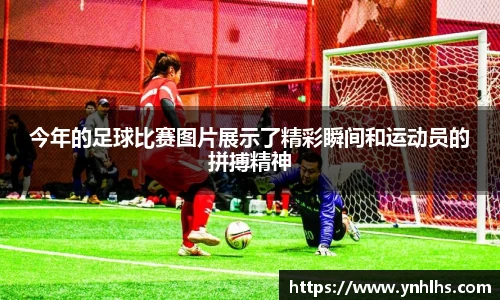 bsports官网入口