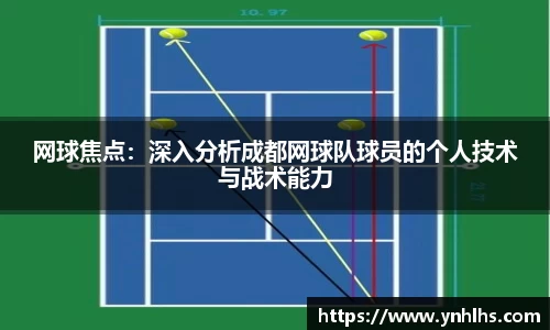 bsports官网入口