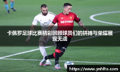 bsports官网