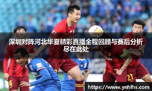 bsports官网入口