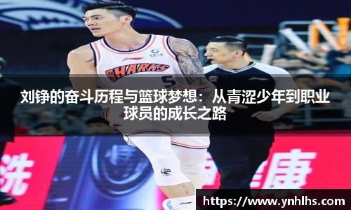 bsports官网入口