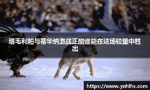 塔毛利帕与蒂华纳激战正酣谁能在这场较量中胜出