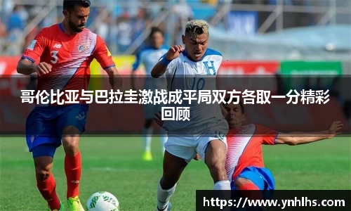 B体育bsports