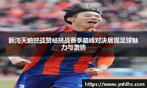 bsports官网