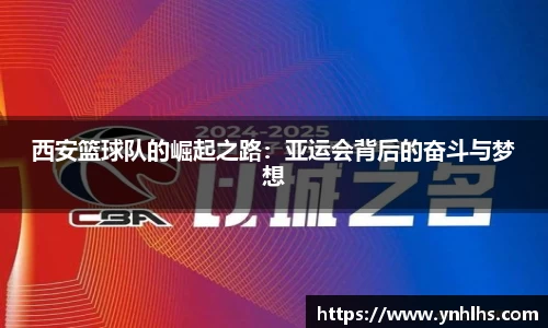 bsports官网入口