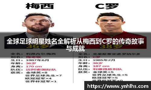 B体育bsports